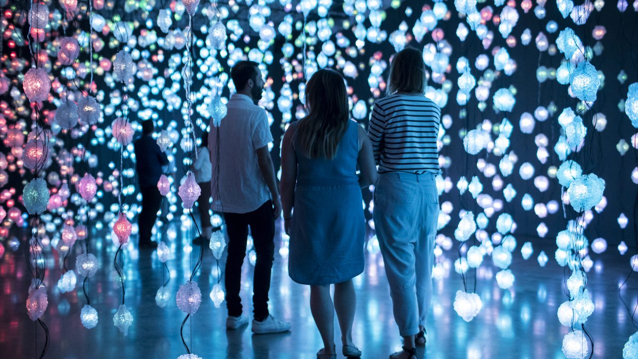 Pipilotti Rist at Museum of Contemporary Art / Pixelwald Motherboard (Pixelforest Mutterplatte), 2016. Installation view, Museum of Contemporary Art, 'Pipilotti Rist - Sip My Ocean', Sydney, Australia, 2018. Photo: Ken Leanfore © Pipilotti Rist Courtesy the artist, Hauser & Wirth and Luhring Augustine