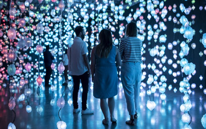 Pipilotti Rist at Museum of Contemporary Art / Pixelwald Motherboard (Pixelforest Mutterplatte), 2016. Installation view, Museum of Contemporary Art, 'Pipilotti Rist - Sip My Ocean', Sydney, Australia, 2018. Photo: Ken Leanfore © Pipilotti Rist Courtesy the artist, Hauser & Wirth and Luhring Augustine